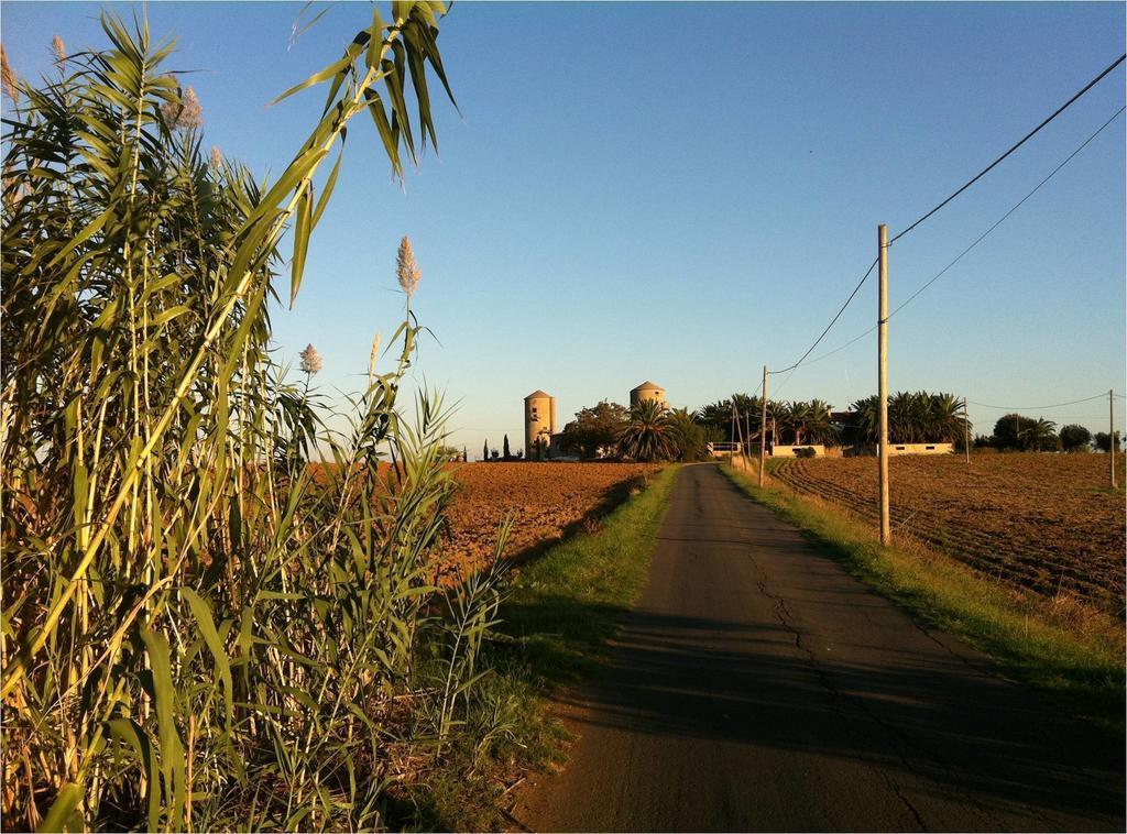 B&B Corte Degli Struzzi 佩夏罗马纳 外观 照片